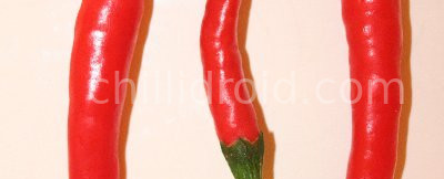 Household Appliances – Pilot